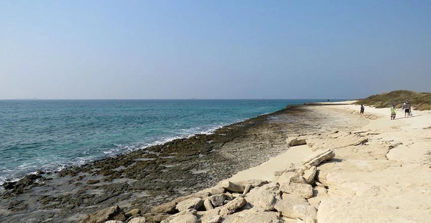 جزیره شیدور 