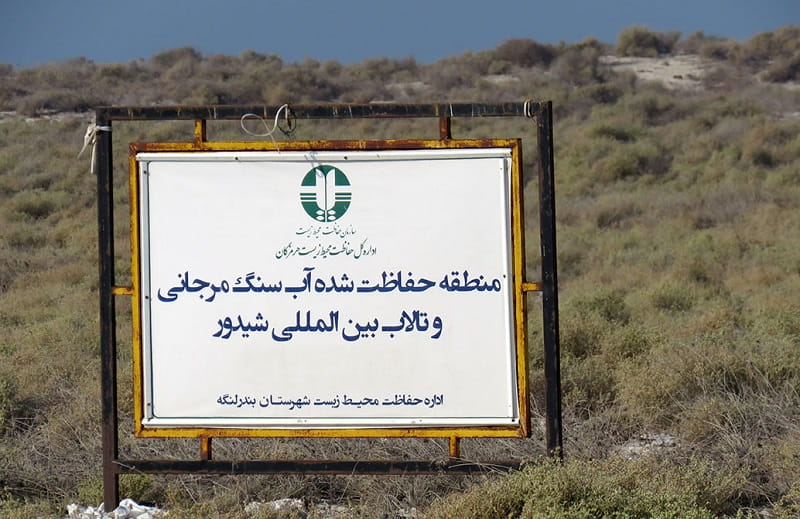 جزیره شیدور 