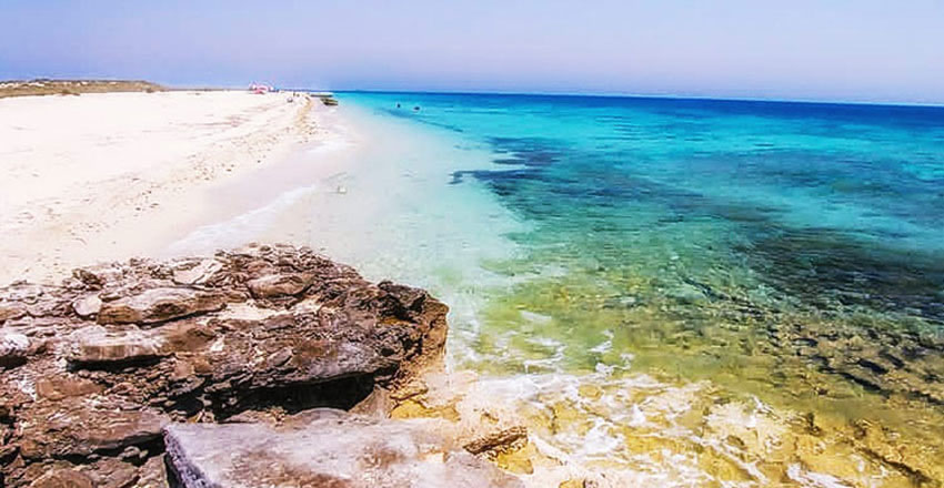 جزیره شیدور 