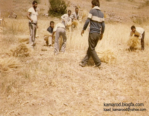 روستای کمرود روستای کمرود