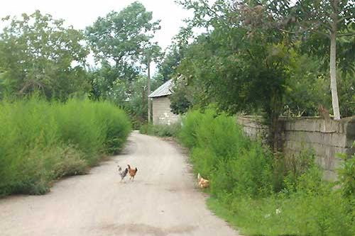 روستای خمیران بندر انزلی روستای خمیران بندر انزلی
