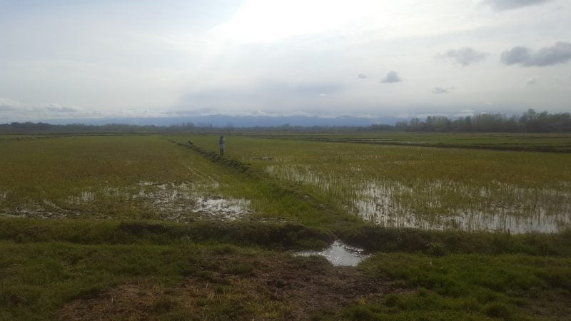 روستای گفشه بالا گفشه روستای گفشه