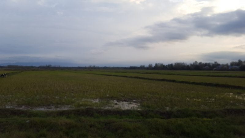 روستای گفشه بالا گفشه روستای گفشه