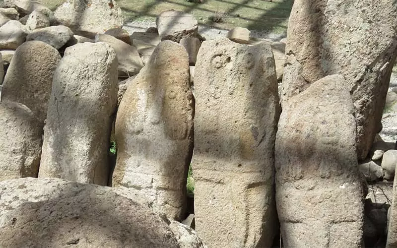 شهر یئری