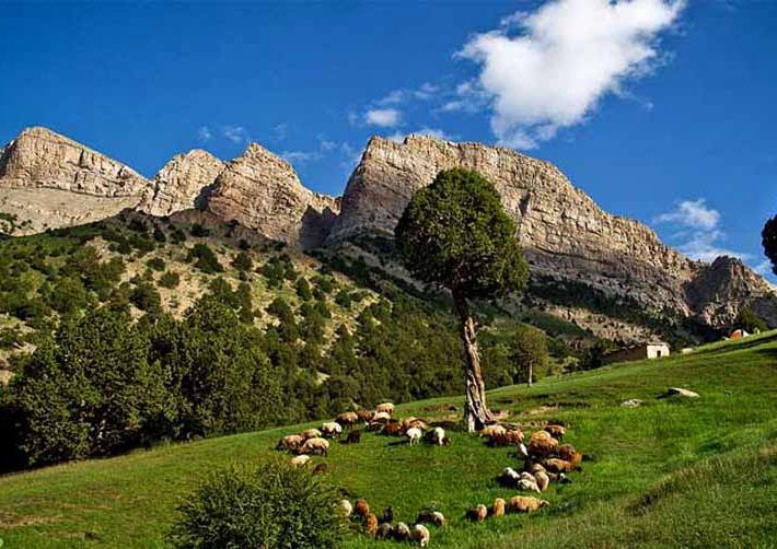 هزار مسجد