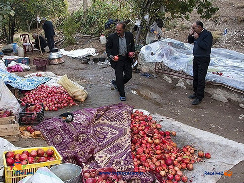 جشن انار