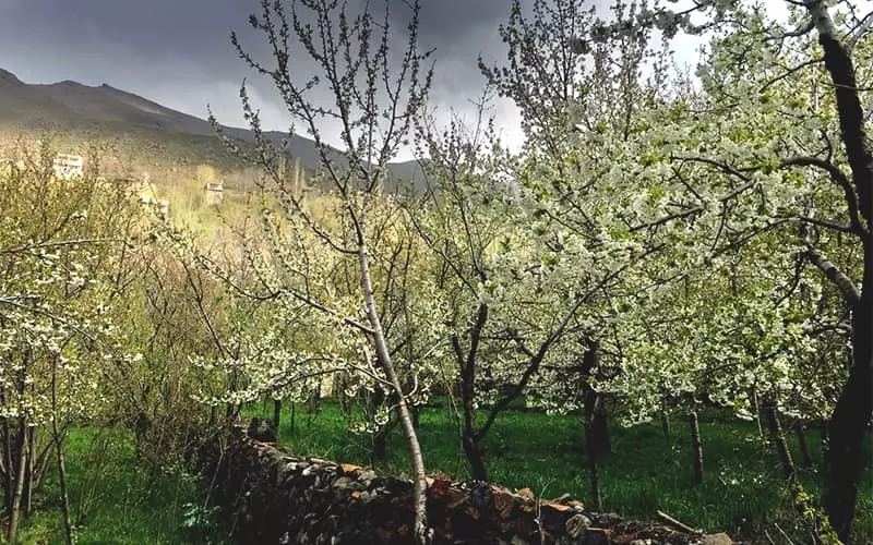 دره مراد بیگ همدان