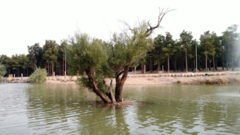 پارک جنگلی پالایشگاه شیراز