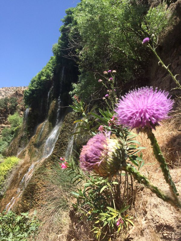 آبشار چپی راستی 