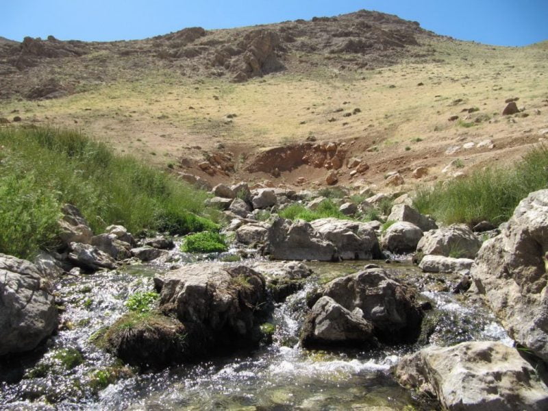 چشمه مایک