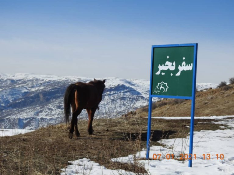 روستای زناب
