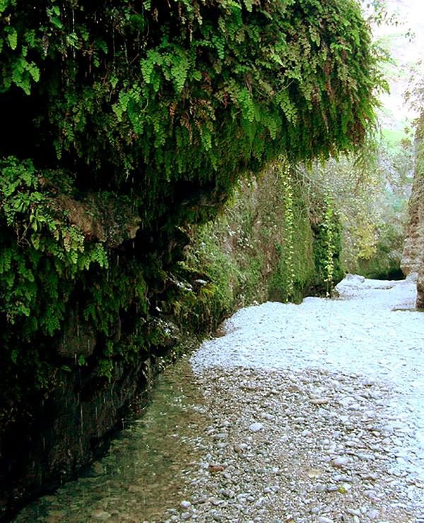 منطقه گردشگری پل پرزین منطقه گردشگری پل پرزین