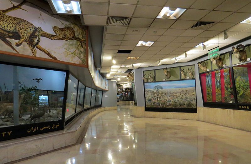 ﻣﻮزه ﺗﻨﻮع زﯾﺴﺘﯽ پردیسان تهران 