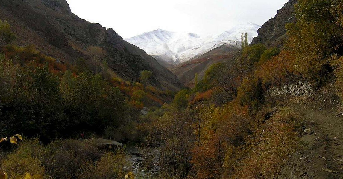 روستای سینک