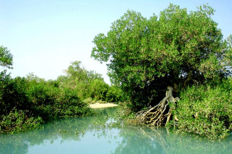 جاهای دیدنی چابهار جاهای دیدنی چابهار