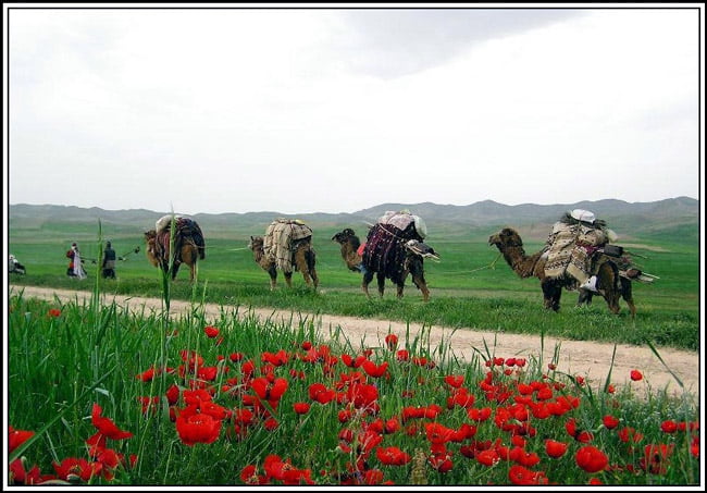 عشایر کرد خراسان شمالی عشایر کرد خراسان شمالی