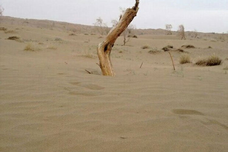 کویر حلوان از جاهای دیدنی بیرجند جاهای دیدنی بیرجند در بهار (40 جاذبه گردشگری)