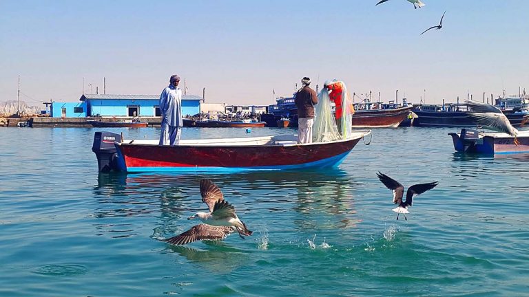 اسکله ماهیگیری