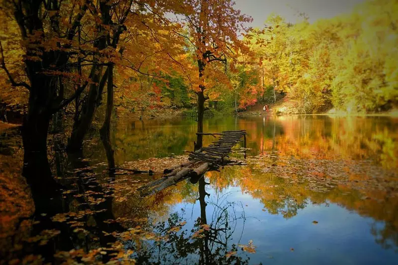 مرداب هسل مرداب هسل