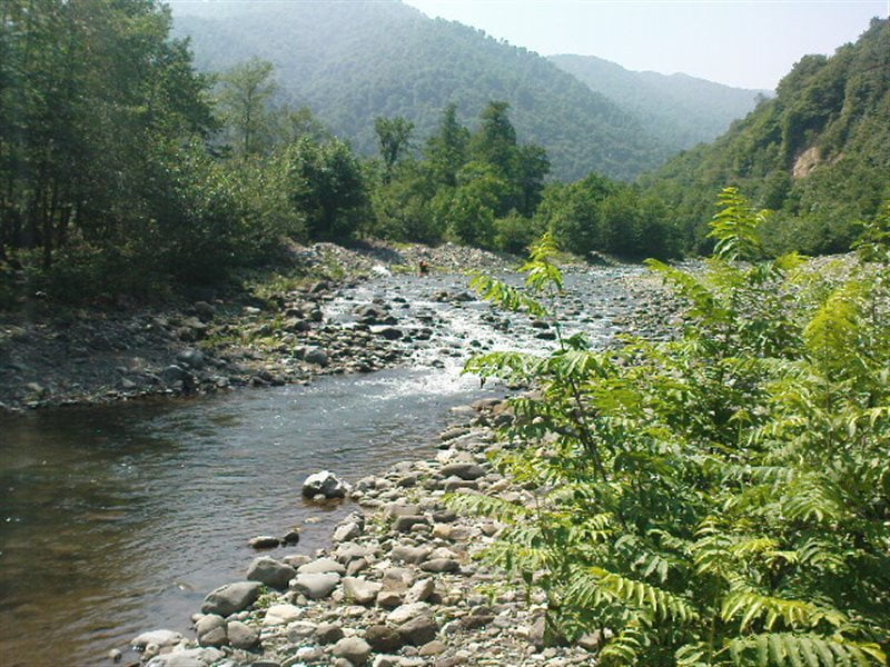 روستای بالارود