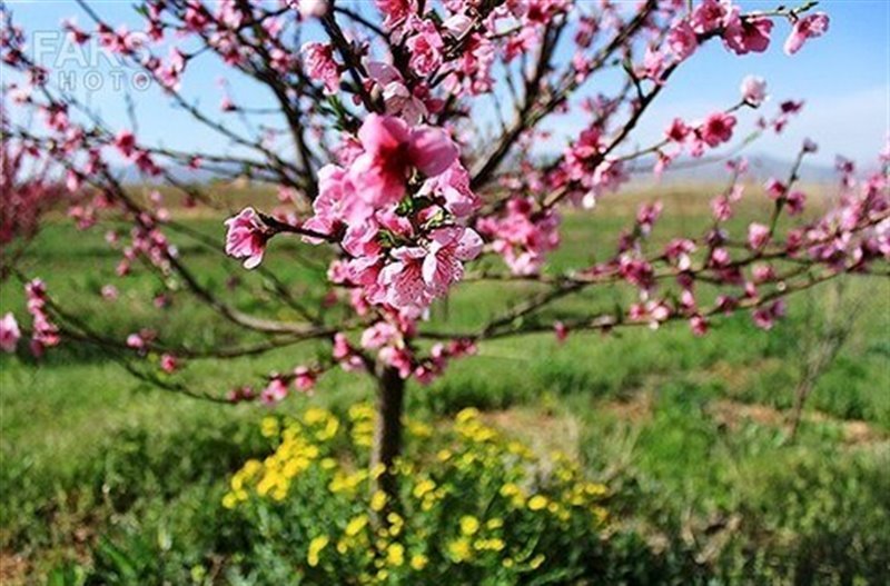 روستای چینی جان
