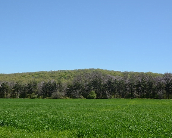 روستای یالو