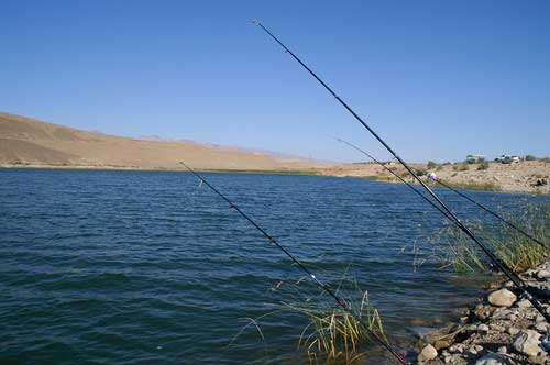 20 جای دیدنی مشهد در تابستان 20 جای دیدنی مشهد در تابستان 20 جای دیدنی مشهد در تابستان