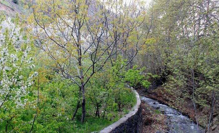 20 جای دیدنی مشهد در تابستان 20 جای دیدنی مشهد در تابستان 20 جای دیدنی مشهد در تابستان