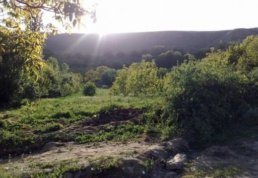 20 جای دیدنی مشهد در تابستان 20 جای دیدنی مشهد در تابستان 20 جای دیدنی مشهد در تابستان