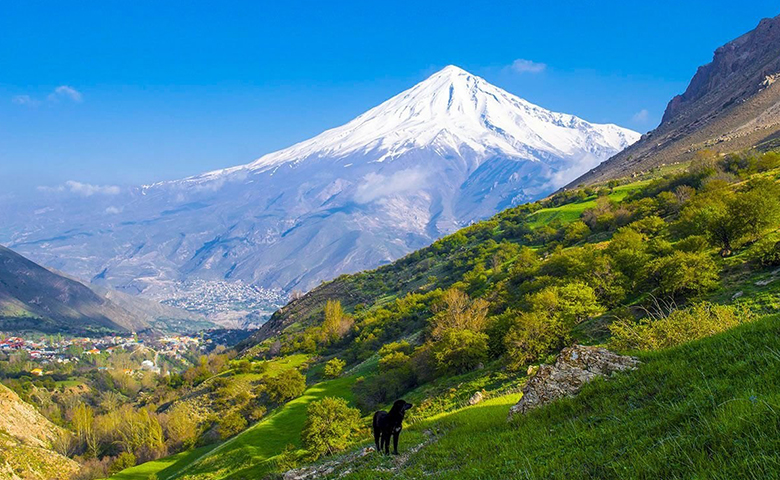 جنگل آزو کلاردشت
