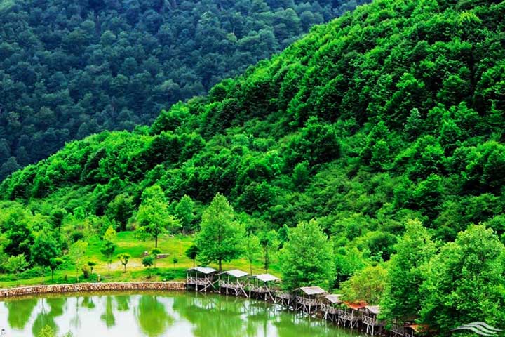 دریاچه قو جواهرده