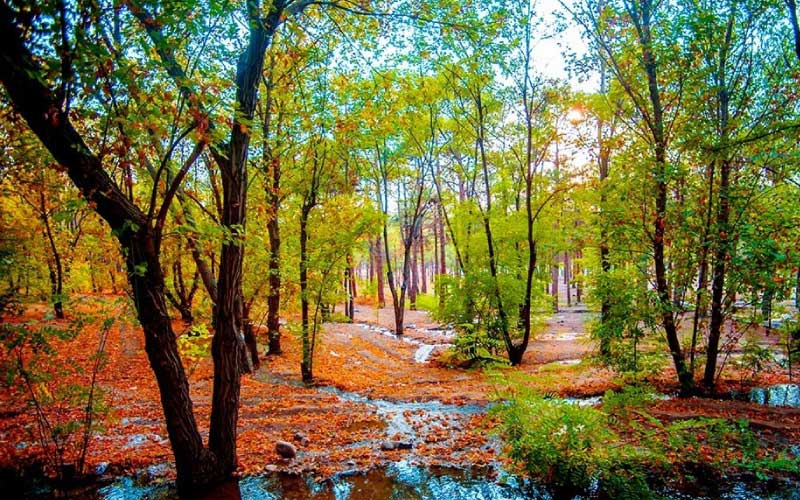 جاهای دیدنی تهران در پاییز جاهای دیدنی تهران در پاییز