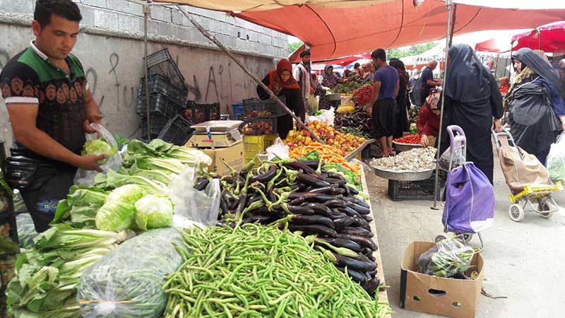 جاهای دیدنی بوشهر در پاییز جاهای دیدنی بوشهر در پاییز جاهای دیدنی بوشهر در پاییز