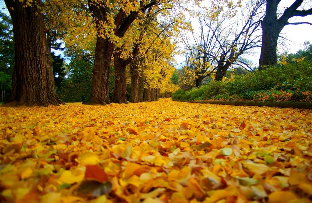 جاهای دیدنی سبزوار در پاییز