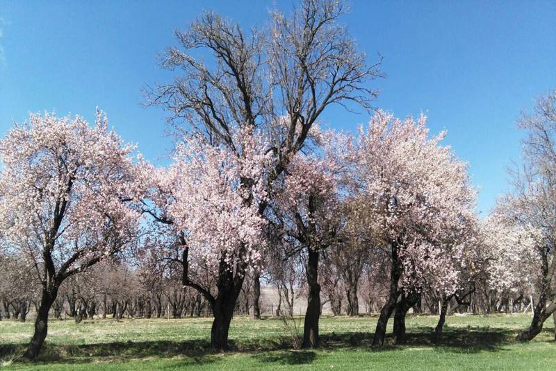 بهترین زمان برای سفر به شهرکرد  بهترین زمان برای سفر به شهرکرد