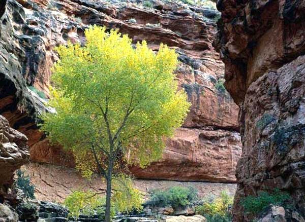 جاهای دیدنی ایلام در پاییز جاهای دیدنی ایلام در پاییز جاهای دیدنی ایلام در پاییز