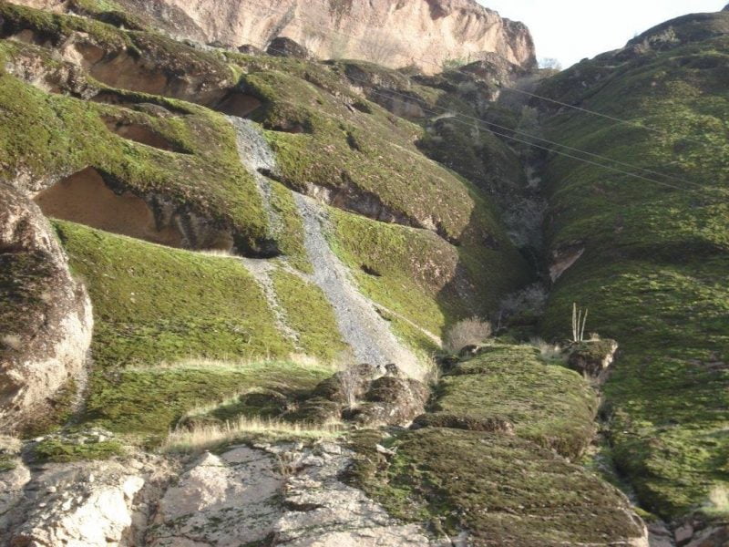  پارک جنگلی مخمل کوه