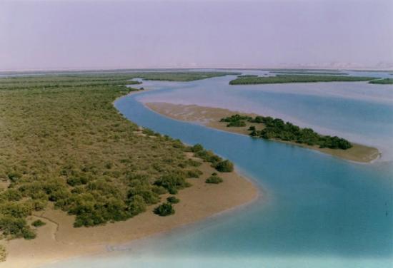 حاهای دیدنی قشم در زمستان  جاهای دیدنی قشم در زمستان