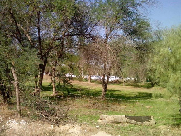 پارک های جنگلی دشتستان پارک های جنگلی دشتستان