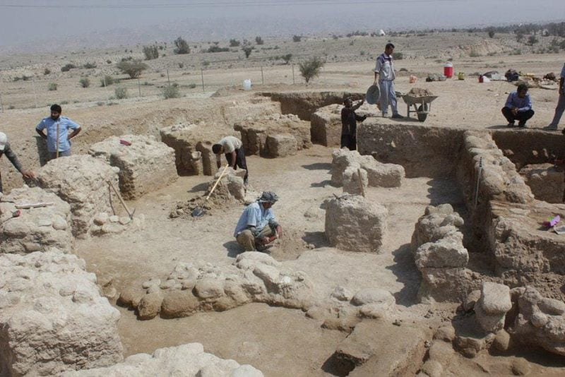 تنب پرگان جناح  تنب پرگان جناح