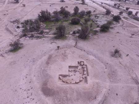 تنب پرگان جناح  تنب پرگان جناح