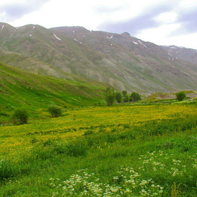 روستای هویر  روستای هویر
