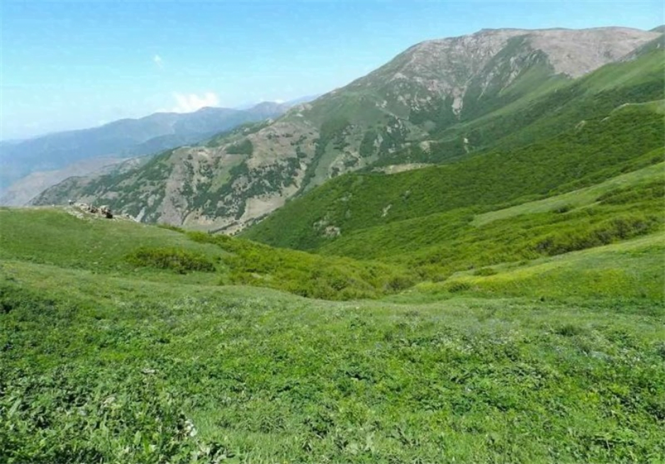 آغجا قلعه آغجا قلعه آغجا قلعه