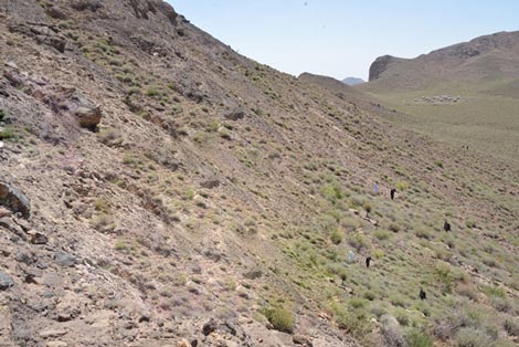 جاهای دیدنی سیستان و بلوچستان در زمستان  جاهای دیدنی سیستان و بلوچستان در زمستان