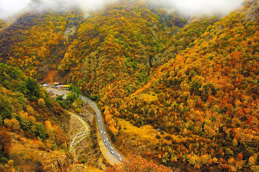رویشگاههای جنگلی ایران
