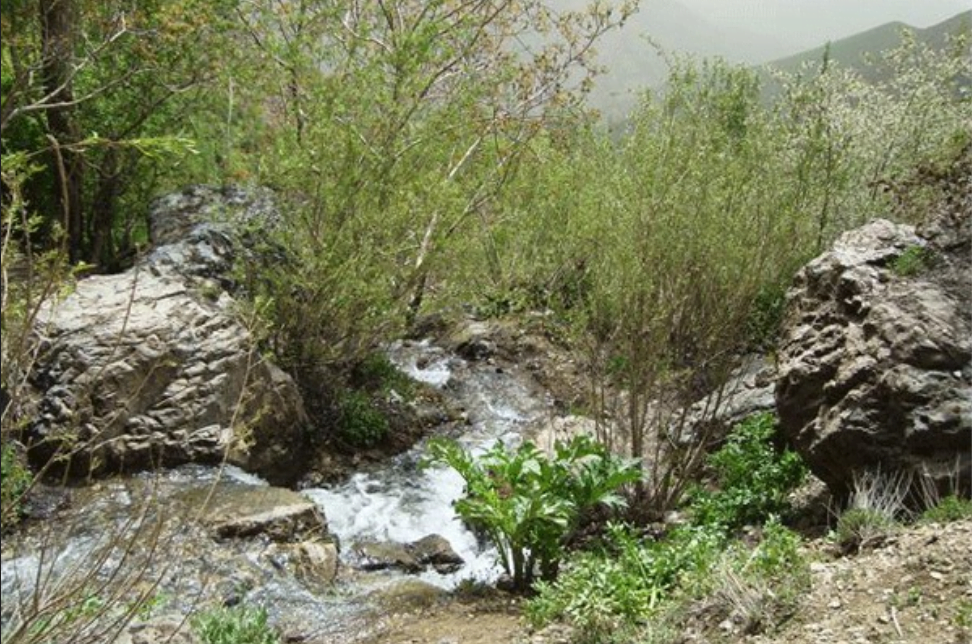 روستای سولقان روستای سولقان