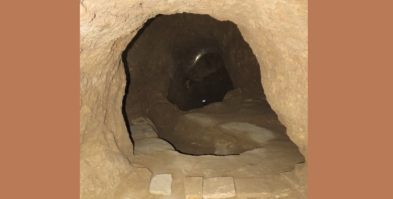 نوش آباد
