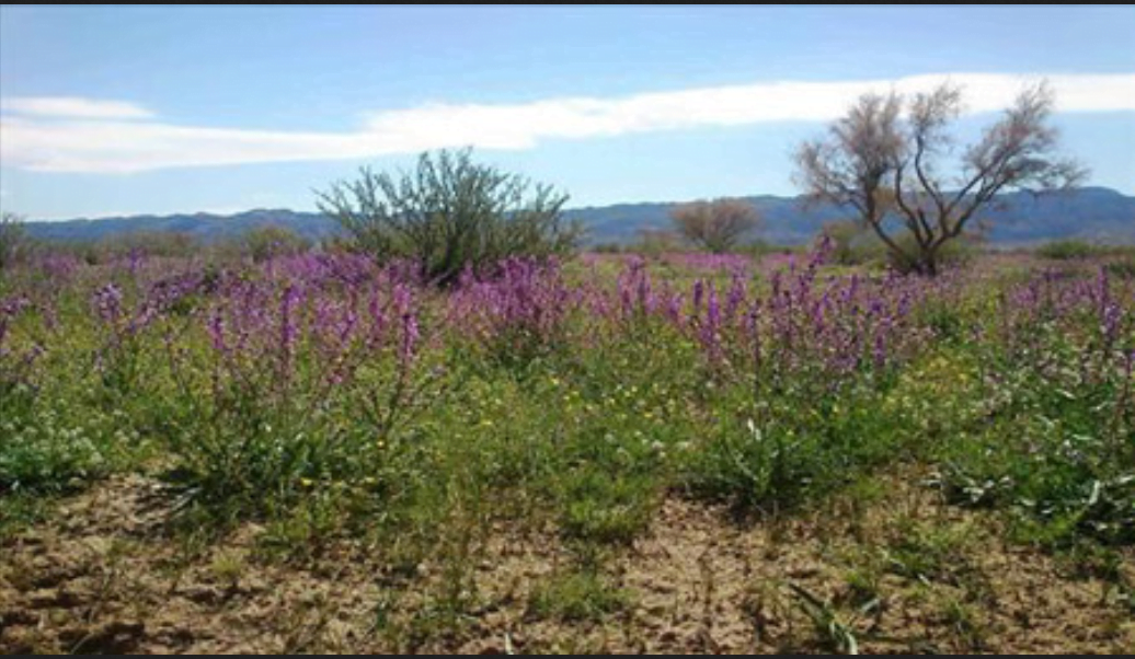 دره هندوستان دره هندوستان