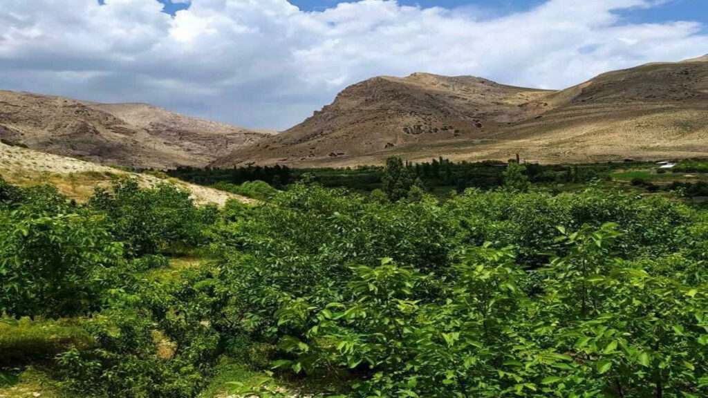 روستای جلیزجند