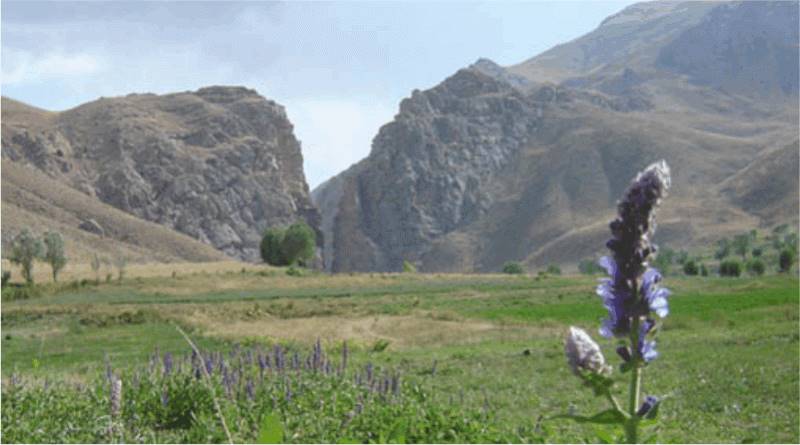 روستای جلیزجند